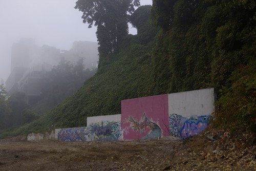 misty morning graffs.jpg