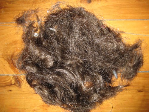 2409079305 d74d987328 What To Do When Experiencing The Loss Of Hair