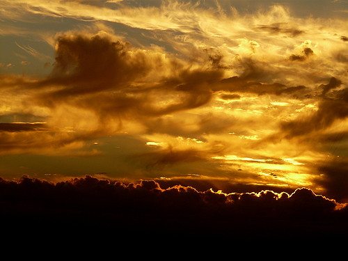 sky orange sunlight silhouette yellow clouds sunrise amanecer amarillo cielo nubes silueta naranja luzdelsol bringmethathorizon