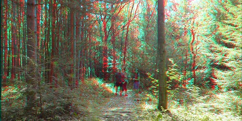 stereogram 3d anaglyph stereo anabuilder