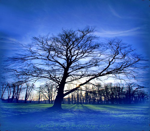 blue winter tree landscape 123 shade karma hazy sabine blueribbon naturesfinest ©allrightsreserved vaeshartelt mywinners xploremypix earthshots impressedbeauty tiosealofapproval citrit infinestile