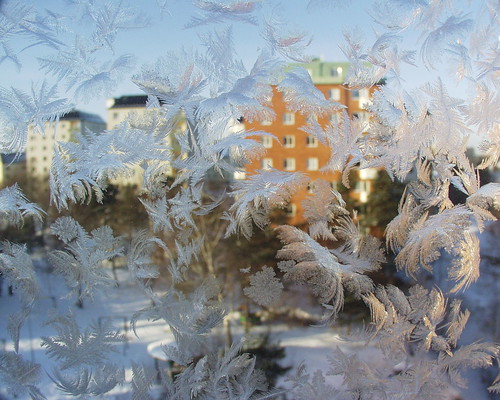 home frost view sweden stockholm schweden january 2006 cc creativecommons sverige utsikt viewfromhome suede hemma nacka goldenglobe kicki macrophotosnolimits finntorp svenskaamatörfotografer kh67