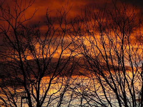 red sky silhouette clouds albumbetternatire smnotchecked tree trees smugmugtree better nature