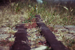 Rail closeup