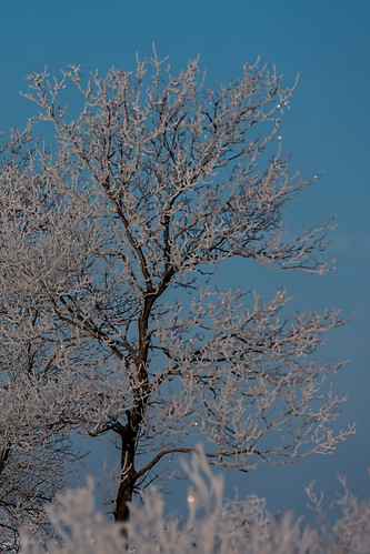 winter snow tree wisconsin sunrise unitedstates hoarfrost leeds scenic ©jrj