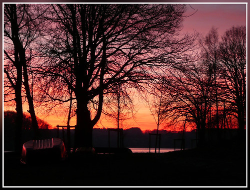 sunset sky sun lake france tree nature water landscape lac lorraine vosges bouzey ultimateshot sanchey