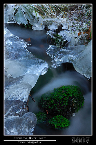 trip winter cold ice water stone creek germany deutschland frozen moss europe schwarzwald blackforest deu 2007 badenwuerttemberg gmt1 reichental thomaspeter thpeter