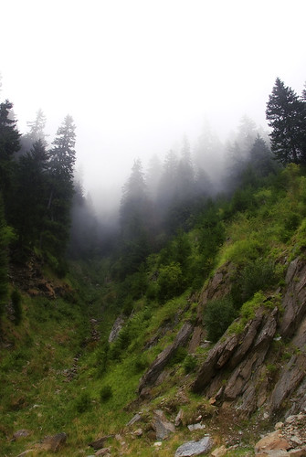 trees mist mountains nature fog landscape rocks romania transylvania carpathians pinetrees carpathianmountains transfăgărăşan transzfogaras fogarasihavasok transfogaras