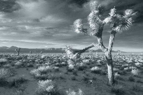 california blackandwhite landscape desert optikverve abigfave impressedbeauty tokinaatx124prodx