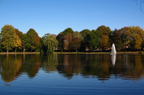 autumn trees lake reflection water colours forrest parc stadspark turnhout publicparc