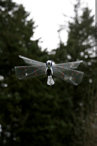 wowwee / flytech dragonfly in midair    MG 8804