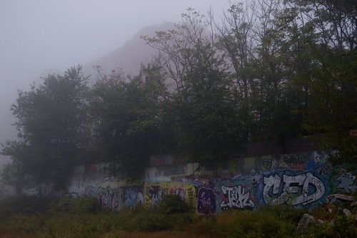 6am mist on the embankment.jpg