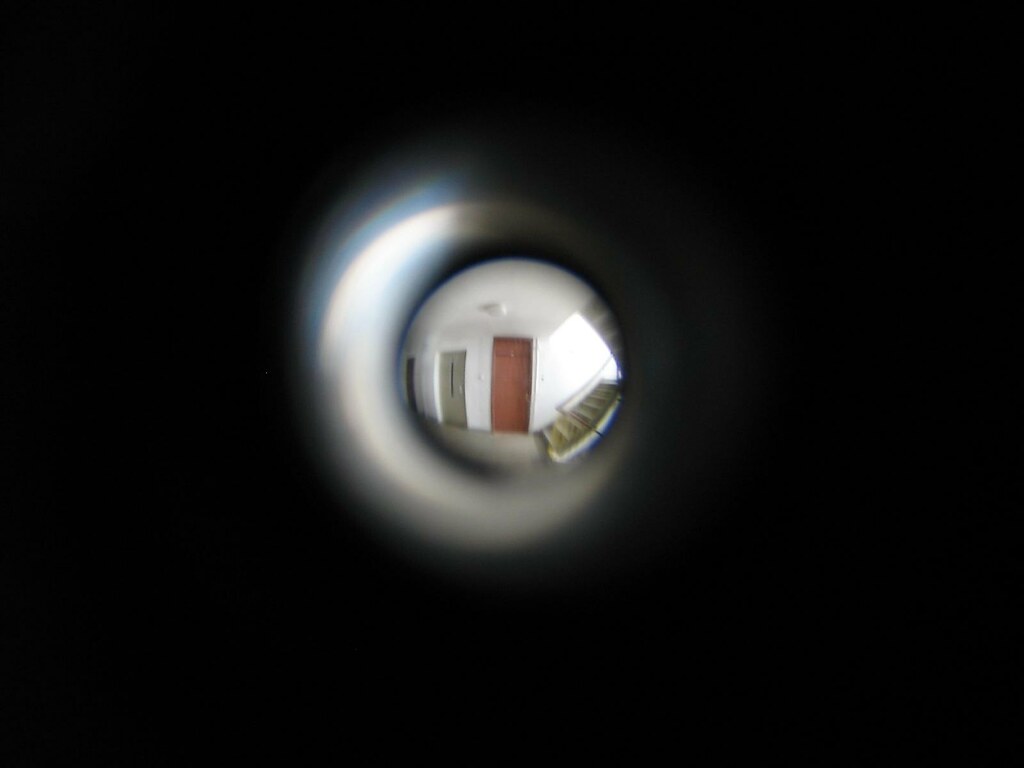 Peeking through the front door