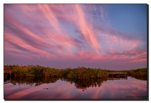 pink sky reflection clouds dawn florida evergladesnationalpark mangroves jpeg bushes hdr brushstrokes beforesunrise royalpalm enp canonefs1785mmf456isusm anhingatrail 3exp specland ilovemypic dphdr