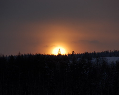 trees orange sun sweden sunsets leapyear