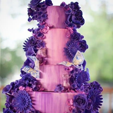 Cake by Cake Power - Kate Sullivan
