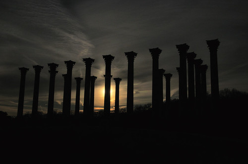sunset silhouette dc dusk column nationalarboretum capitolcolumns