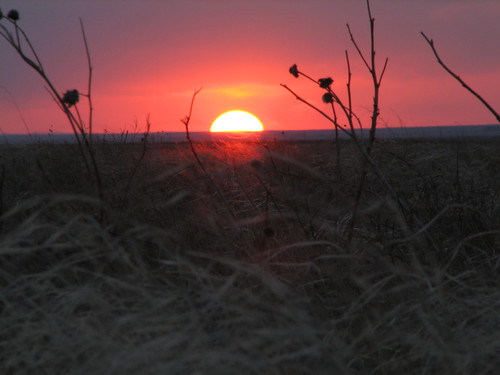 sunset grass night high colorado windy national short prairie plains grassland comanche lajunta