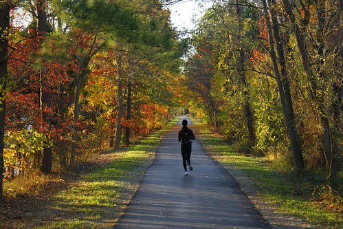 sunset fall colors northcarolina run greensboro trail jogger lakebrandt