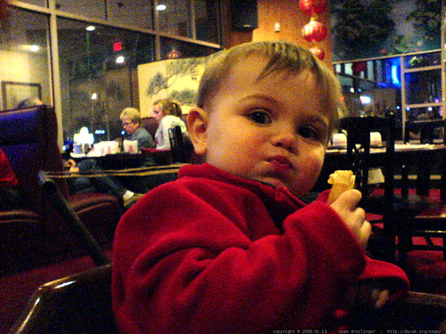 sequoia eating french fries in a chinese restaurant   DSC00401