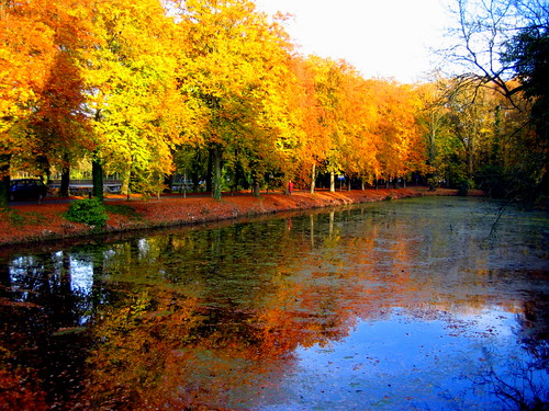 autumn fall netherlands nederland arcen kasteeltuinen limburg