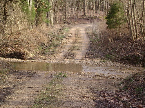road mud lbl