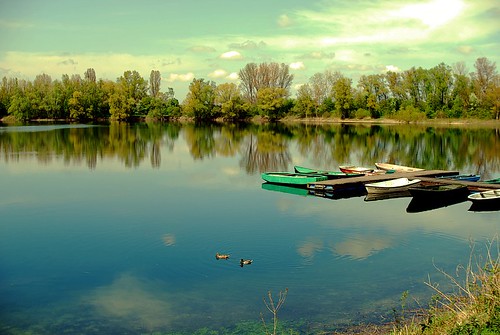 blue summer lake green boats ducks calm sigma30mm14