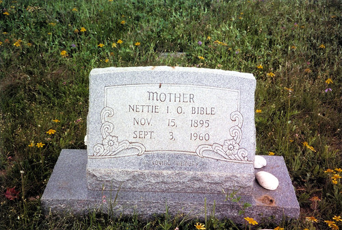 cemetery graveyard texas headstone bible gravemarker colemancounty whon deadmantalking nettiebible