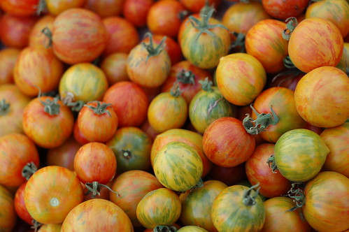 Tomatoes, dry farmed by Eve Fox, the Garden of Eating, copyright 2007