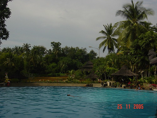 trees water pool swimming swim palms sumatra indonesia restaurant palm swimmingpool jungle swimmer medan kolam renang kenanga kolamrenang
