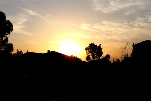 sunset suburbs sydenham