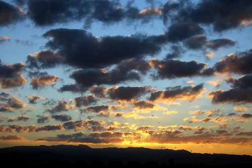 sky sun mountains rome roma birds clouds sunrise dawn migration lafinestradifronte