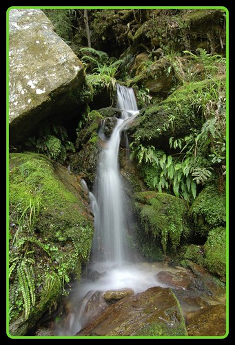 newzealand waterfall moss d70 ferns manfrotto photofaceoffwinner pfogold
