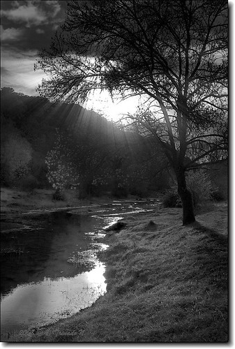 luz rio arbol agua paisaje ramas castillalamancha canon30d ltytr1 a3b gargantiel