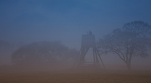 fog sunrise soluppgång dimma bjärred lomma naturreservat fågelskådning gryning löddeå lommakommun löddeåsmynning höstmorgon