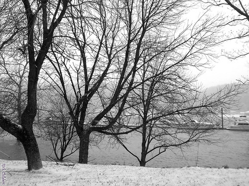 winter blackandwhite bw snow cold tree water landscape boat dock scenery flood huntington wv westvirginia snowing ohioriver harrisriverfrontpark huntingtonwv rcvernors