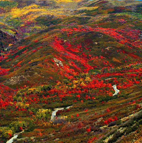 autumn fall colors utah oak pass september deck views aspen midway hebervalley 2007 viewfromdeck frommydeck guardsmanspass
