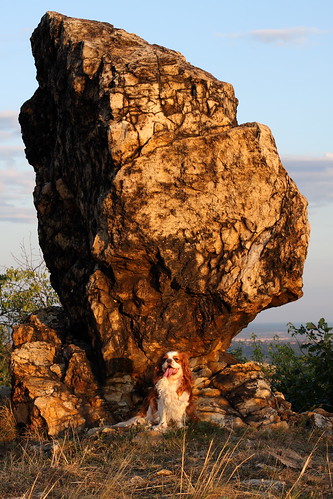Susie in Sunset in front of the Piranha-rock