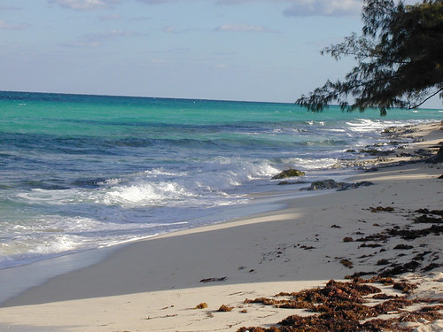 beach shore bahamas atlanticocean bimini northbimini