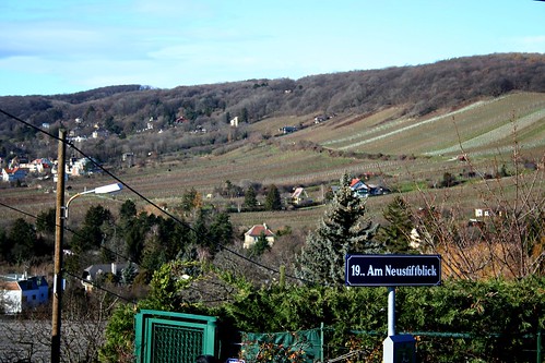 vienna geotagged austria vineyards wanderweg hackenberg neustiftamwalde neustiftblick