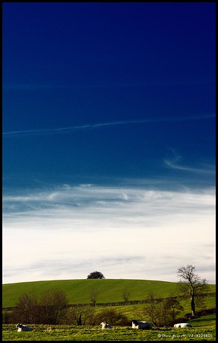 blue sky tree nikon sheep leicestershire hill d200 rupertbrooke