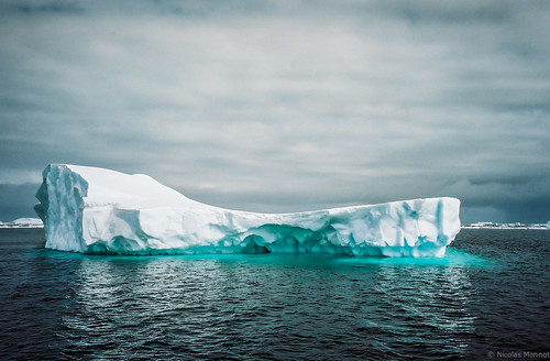 chile travel 2002 travelling argentina ushuaia sailing antarctica adventure iceberg peninsula globalwarming puertowilliams petermann nicointhebus