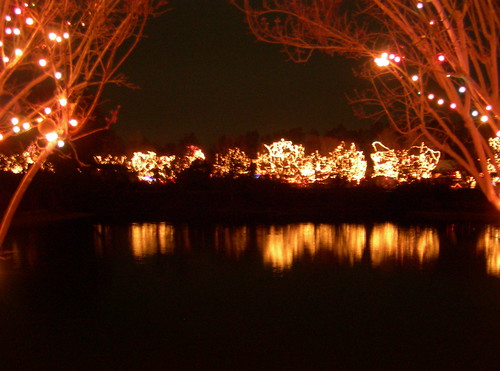 christmas reflection lights southcarolina hollywild