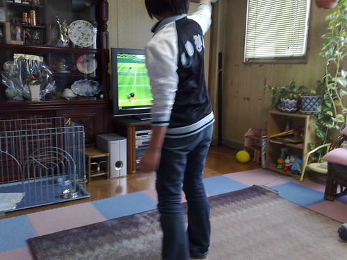 holiday iwate wii
