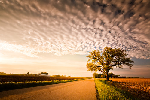 road light shadow sky usa tree field wisconsin clouds rural landscape photography evening countryside photo oak highway midwest image dusk farm country may picture northamerica canonef1740mmf4lusm goldenhour lonetree dunkirk lonelytree 2011 cooksville canoneos5d danecounty lorenzemlicka