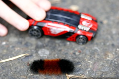 nick's car races the little caterpillar uphill    MG… 