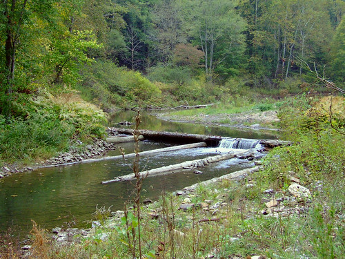 wood history dam logging wv splash past spillway guyandotte