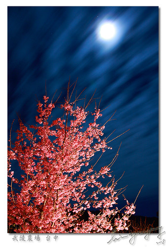moon mountain festival cherry asia farm blossoms taiwan full taichung lantern jupiter 台灣 2008 山 臺灣 台中 feburary 櫻花 武陵農場 武陵 wuling aplusphoto swinelinfavorite