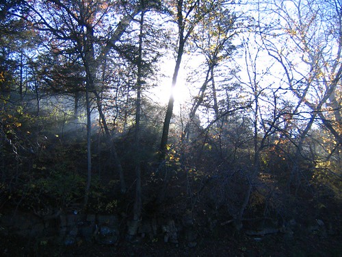 trees sun smoke galena woodfire