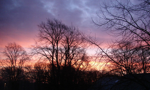 york trees winter sky clouds sunrises